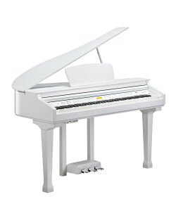 KURZWEIL KAG100 White